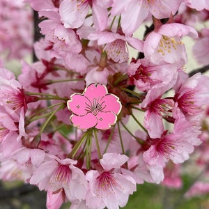 Sakura (opaque pink OR pink glitter) - Hard Enamel Pin - Lapel Pin