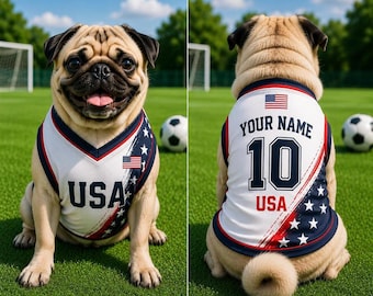 Personalized USA Pet Soccer Jersey, Soccer Outfit for Dogs Cats, USA Football Shirt Name Number, Cute Puppy Sportswear