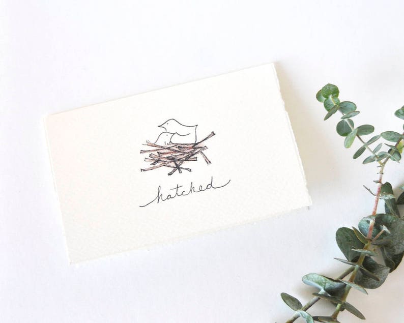 Cute New Baby Card Hatched