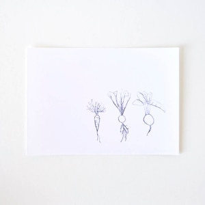 Arte de jardín minimalista - Dibujo de línea de edición limitada - remolacha de nabo de zanahoria - En el jardín