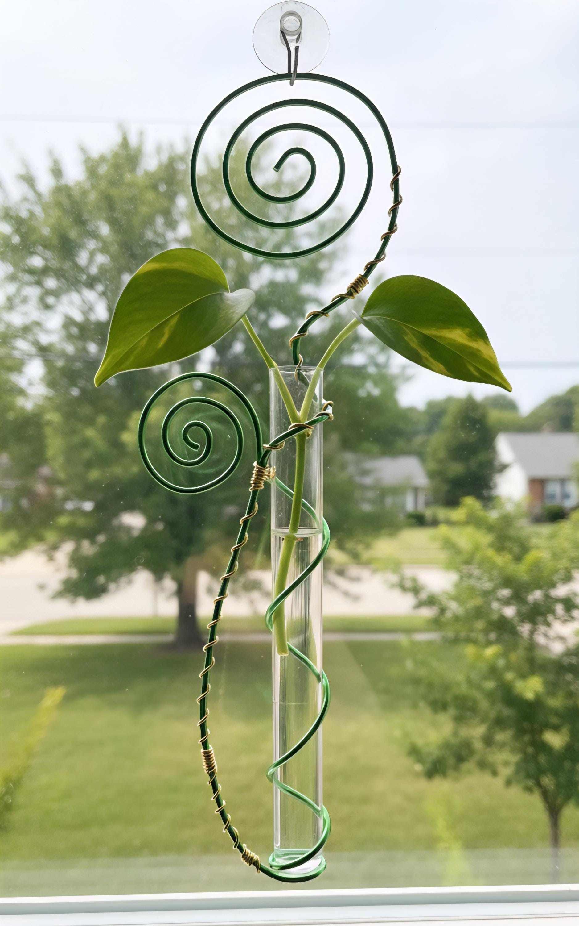 Handmade Wire Plant Trellis: Indoor Vine Propagation Station