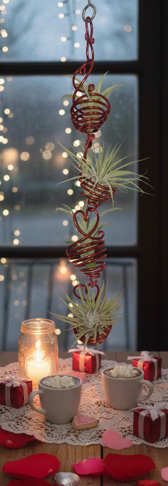 Hanging Heart Air Plant Display with 4 Live Tillandsia and Red Wire Spiral  Holders