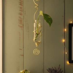 May include: A gold-colored, wire-wrapped glass vase holding a green plant, suspended on a green wooden wall. A small succulent in a white pot and a lavender plant in an orange pot sit on a wooden shelf below.