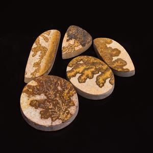May include: Five polished stones with unique patterns. The stones vary in shape, including oval and semi-circular forms. The colors are primarily tan, brown, and cream, with intricate, organic designs resembling natural formations.