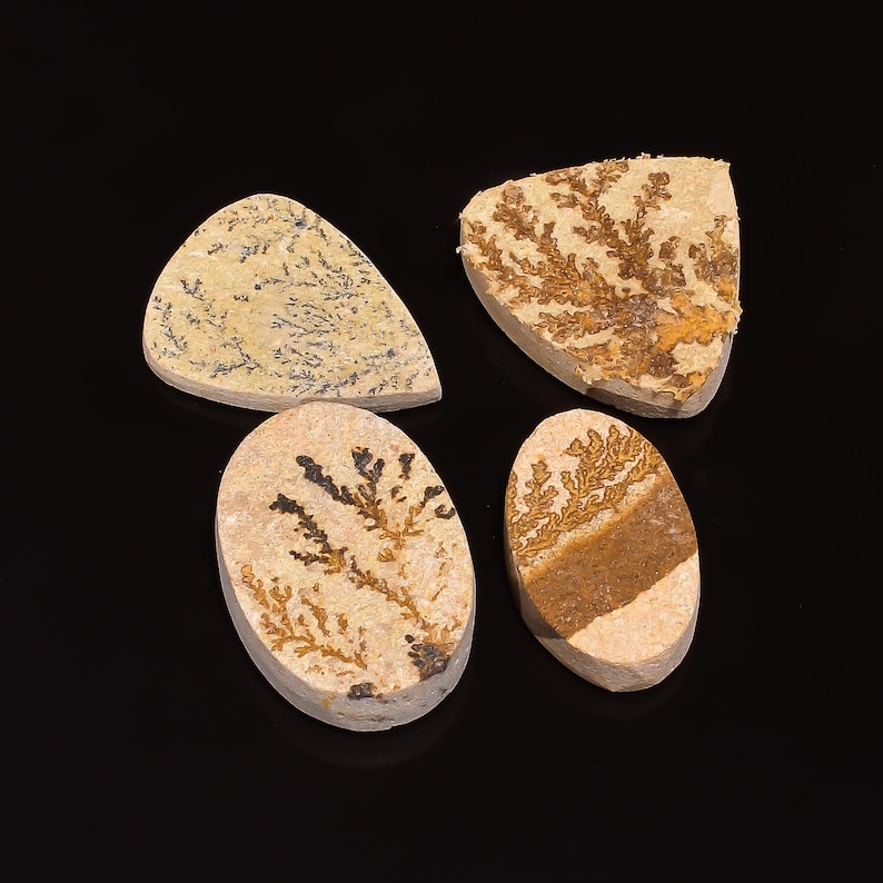 May include: Four polished dendritic agate stones in various shapes. The stones feature natural patterns in shades of brown, black, and tan, resembling plant-like formations. The background is black.