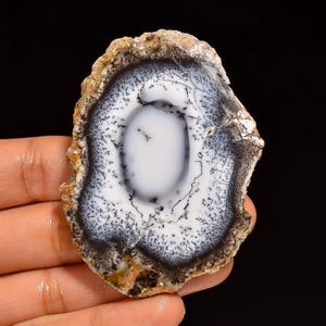 May include: A polished, oval-shaped agate stone with a white center and intricate black and gray dendritic patterns. The outer edge is a mix of brown, tan, and cream colors, creating a natural, organic look. The stone is held in a hand.