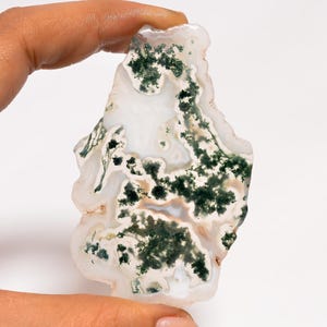 Puede incluir: Una piedra preciosa pulida de forma irregular, con una base blanca y patrones intrincados de inclusiones verde oscuro similares al musgo. La piedra se sostiene entre los dedos, mostrando su belleza natural. Los bordes son lisos y la apariencia general es translúcida.