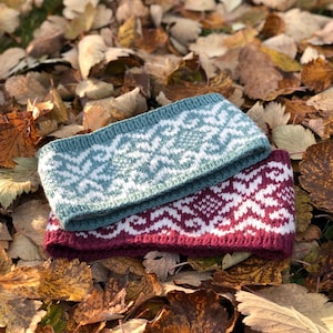 May include: Two knitted headbands with a geometric pattern. One is teal with white accents, and the other is burgundy with white accents. The headbands are lying on a bed of fallen autumn leaves.