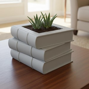 May include: A light gray planter shaped like a stack of three books with a hollow top compartment containing dark soil and two small green succulent plants with white horizontal stripes on their pointed leaves, resting on a wooden surface.