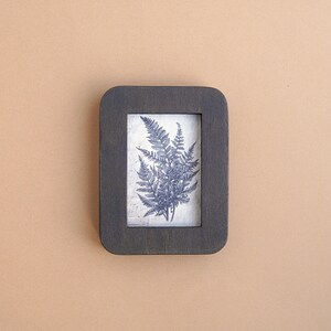 Op de afbeelding: Een rechthoekige donkerbruine houten fotolijst met afgeronde hoeken. De lijst bevat een witte inzet met een gedetailleerde donkerblauwe botanische illustratie van een varenplant met meerdere bladeren in het midden van de opening.