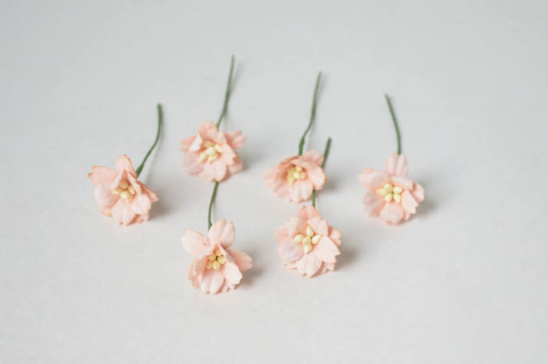20 mm / 10 Peachy Paper Flowers image 3