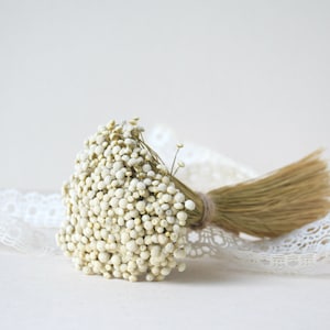 Un ramo de flores secas - Flores secas botánicas para bricolaje, arreglos florales secos, decoración del hogar y de las paredes