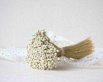 Un ramo de flores secas - Flores secas botánicas para bricolaje, arreglos florales secos, decoración del hogar y de las paredes