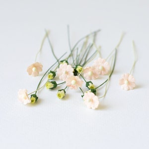 4-10 mm / 20 Flores de papel misto