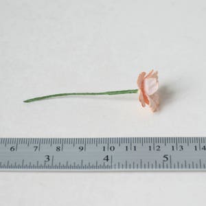 20 mm / 10 Peachy Paper Flowers image 5