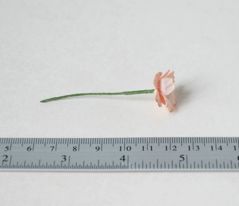 20 mm / 10 Peachy Paper Flowers image 5
