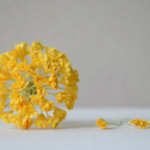 5 mm / 50 fiori di carta giallo brillante, fiori di carta Gypsophila