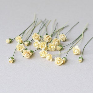 4-10 mm / 30 fiori di carta di gelso misti