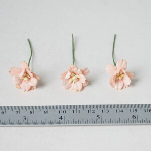 20 mm / 10 Peachy Paper Flowers image 4