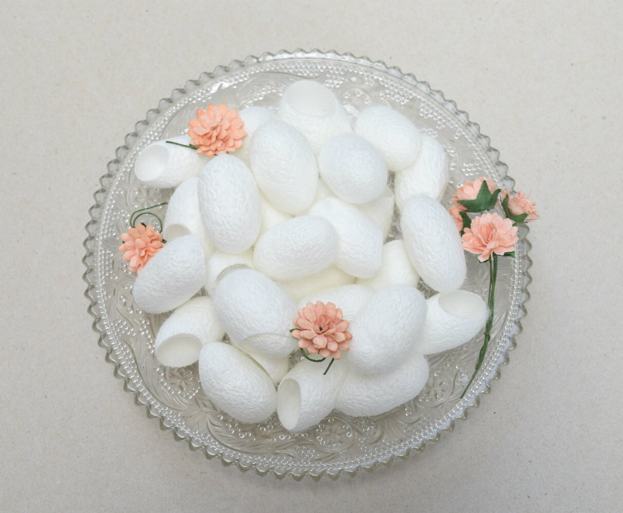 15 silk cocoons for Crafting Handmade Accessories Etsy