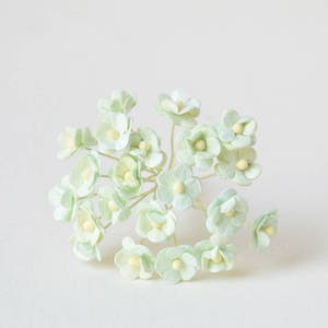 10 mm / 20 Flores de papel de amoreira verde menta
