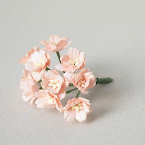 20 mm / 10 Peachy Paper Flowers image 2