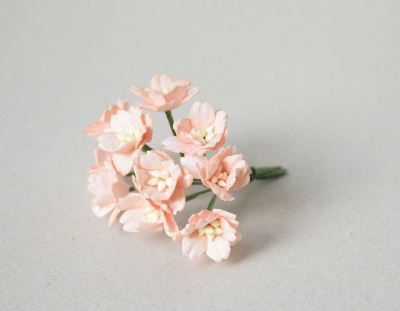 20 mm / 10 Peachy Paper Flowers image 2