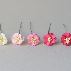 25 mm / 5 colori misti di fiori di carta di gelso
