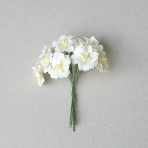 25 mm / 10 fiori di carta bianca