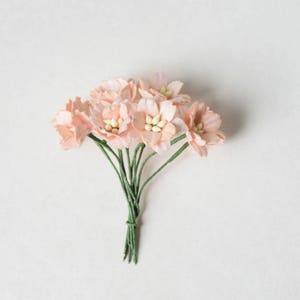 20 mm / 10 fleurs en papier couleur pêche image 1