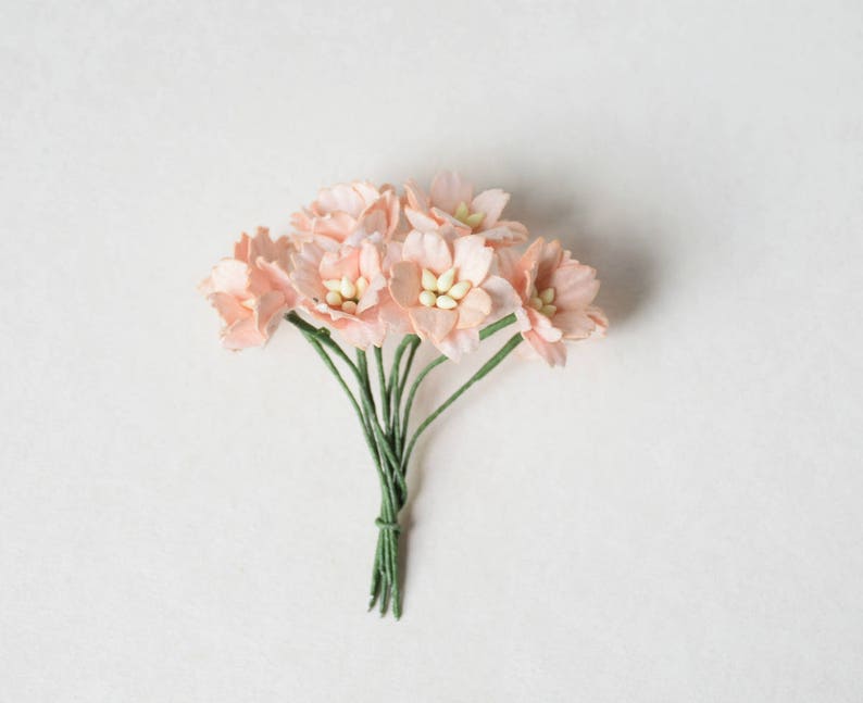 20 mm / 10 Peachy Paper Flowers image 1