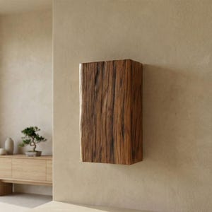 May include: A rectangular, wall-mounted cabinet made of dark brown wood with visible grain. The cabinet is the focal point, mounted on a beige wall. The room has a minimalist design with a wooden sideboard and a bonsai tree.