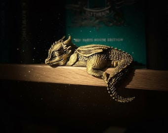 Slapende boekenplank drakenbeeldje: Gothic Fantasy Book Nook Decor