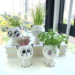 Peut inclure: Quatre pots de fleurs blancs en forme de chat avec différentes expressions, chacun contenant des plantes vertes variées. Les pots ont des détails noirs et sont disposés sur une surface blanche avec un paysage urbain flou en arrière-plan. Les plantes varient en hauteur et en texture.