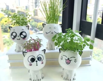 Maceta de gato kawaii: maceta de cerámica para suculentas, ideal como regalo de decoración de escritorio