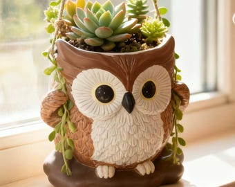 Maceta colgante de búho: maceta de resina para suculentas, decoración bohemia para balcones