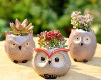 Maceta de cerámica con forma de búho: mini maceta para suculentas, decoración de escritorio