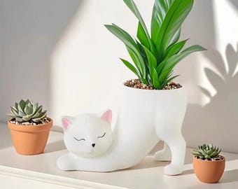 Funny Cat Butt Planter, Kawaii Succulent Pot, Desk Decor