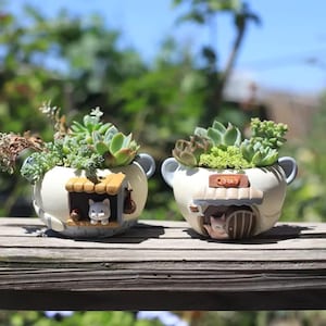 Può includere: Due vasi in ceramica bianca a forma di gatto con piante grasse. Ogni vaso ha una piccola facciata di casa con una figura di gatto. I vasi hanno manici blu.