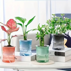 Puede incluir: Una taza de cerámica blanca con un asa negra y el texto "But First, Coffee" en negrita negra. La taza está sobre una superficie de madera. La taza mide aproximadamente 10 cm de alto.