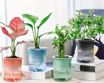 Maceta de plástico autorriego de doble capa para plantas de oficina y hogar.