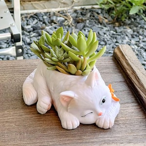 Könnte beinhalten: Ein weißer Keramik-Katzen-Pflanztopf mit einer Sukkulentenpflanze. Die Katze liegt mit geschlossenen Augen und einer kleinen orangefarbenen Schleife. Die Sukkulente hat grüne und gelbe Blätter. Der Pflanztopf steht auf einer Holzoberfläche.