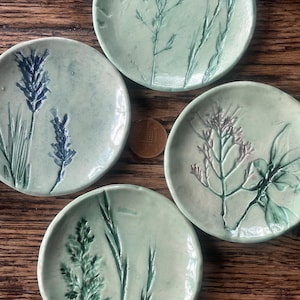 May include: Four round, light green ceramic dishes, each featuring a unique botanical impression. One dish displays lavender-like sprigs, another shows tall grasses, a third features a leafy plant, and the fourth depicts a textured grass stalk.