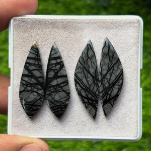 K&ouml;nnte beinhalten: Vier graue und schwarze Edelstein-Cabochons in einer wei&szlig;en Schale. Die Steine sind tropfenf&ouml;rmig mit einem Netzwerk aus schwarzen Linien auf grauem Hintergrund. Die Schale wird vor einem verschwommenen gr&uuml;nen Hintergrund gehalten.