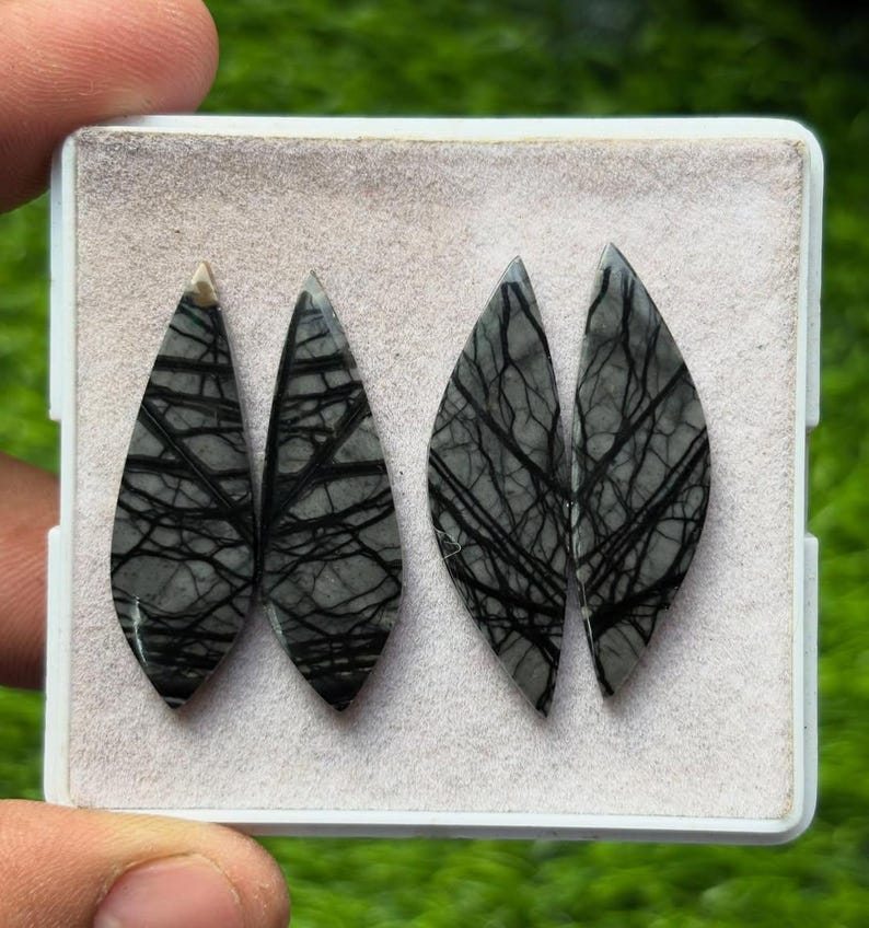 K&ouml;nnte beinhalten: Vier graue und schwarze Edelstein-Cabochons in einer wei&szlig;en Schale. Die Steine sind tropfenf&ouml;rmig mit einem Netzwerk aus schwarzen Linien auf grauem Hintergrund. Die Schale wird vor einem verschwommenen gr&uuml;nen Hintergrund gehalten.