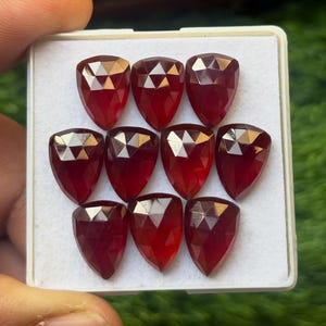 Könnte beinhalten: Eine Sammlung von neun facettierten, schildförmigen Edelsteinen in einem weißen Tablett. Die Edelsteine sind tiefrot und haben viele Facetten, die das Licht reflektieren. Der Hintergrund ist ein verschwommenes Grün.
