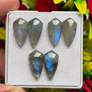 May include: Six shield-shaped labradorite gemstones arranged in a white display box. Each stone features a faceted top surface with a grey base color and iridescent blue flashes visible across the center of the polished, semi-precious mineral pieces.