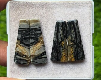 May include: Two polished gemstone cabochons with unique patterns. One pair features a mix of gray, tan, and black veining, while the other showcases a darker palette with black and yellow-brown streaks. Both are set in a white tray against a green background.