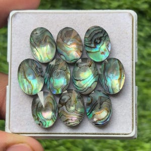 Peut inclure: Collection de dix pierres précieuses ovales en ormeau, chacune affichant des couleurs irisées de vert, de bleu et de violet. Les pierres sont disposées dans un plateau blanc, mettant en valeur leurs motifs et textures naturels. Les coquilles d'ormeau sont populaires en joaillerie.