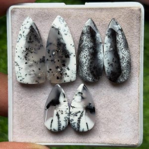 Pode incluir: Seis cabochões de ágata dendrítica em várias formas, incluindo formas de gota e alongadas. As pedras apresentam padrões brancos, cinzentos e pretos, que se assemelham a paisagens naturais. Os cabochões são exibidos numa bandeja rosa claro.